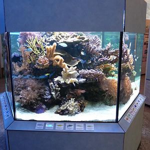 Karlsruhe Aquarium
