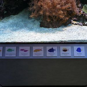 Karlsruhe Aquarium