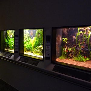 Karlsruhe Aquarium