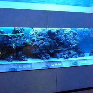 Karlsruhe Aquarium