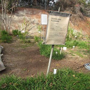 Herb and Vegetable Garden