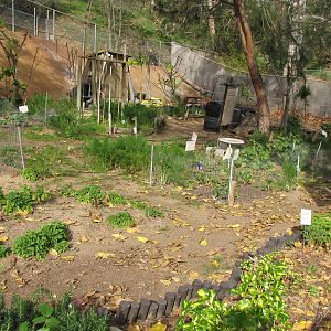 Herb and Vegetable Garden