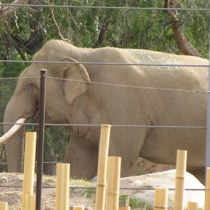 Billy Cruising Around His New Space