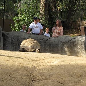 Aldabra Tortoise Habitat