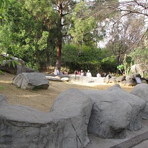 Aldabra Tortoise Habitat