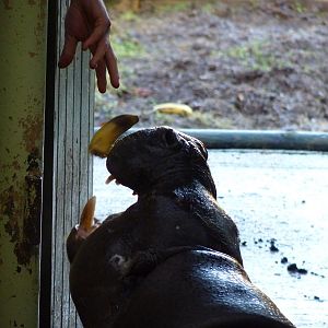 Wendy recieves Lunch