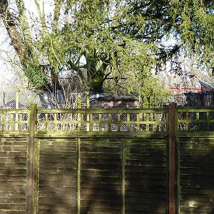 Off-Show Cheetah Enclosure