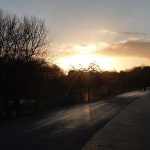 Marwell in the Sunset