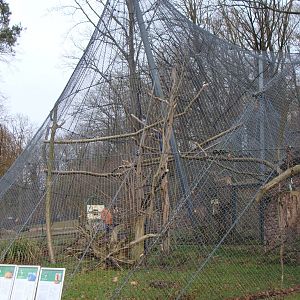 parrot aviary