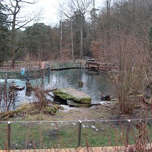european otter exhibit