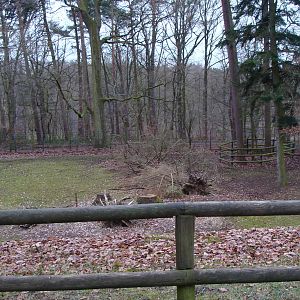 Philippine spotted deer exhibit