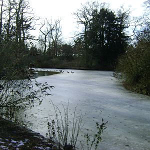 Frozen lake