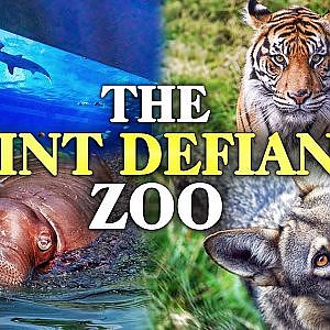 The Beginner's Guide to the Point Defiance Zoo