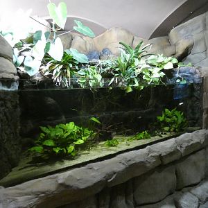 Lake Maracaibo exhibit