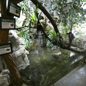 South America exhibit