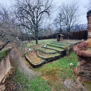 Asia Quest - Tufted Deer and Cranes