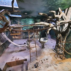 Asia Quest - Indoor Langur Exhibit