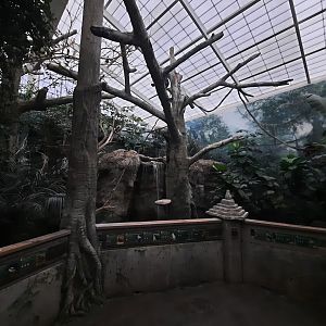 Islands - Aviary 1