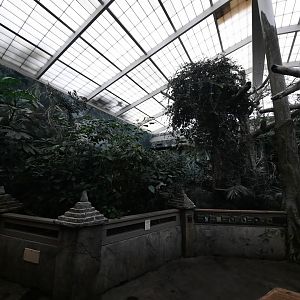 Islands - Aviary 2