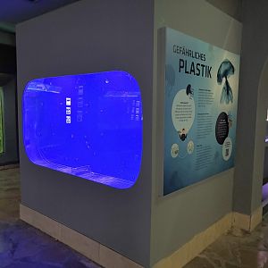 Jellyfish Tank