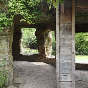 Amur tiger viewing area, 2024-08-05