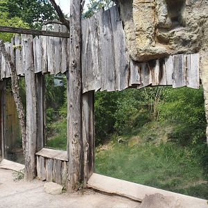 Second Amur tiger exhibit viewing windows, 2024-08-05