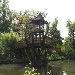 Sumatran orangutan island canopy trail viewing area, 2024-08-05