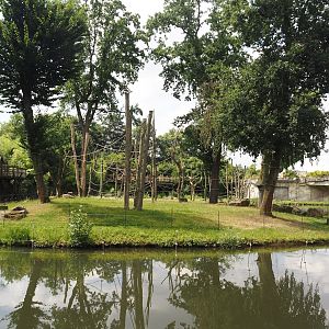 First Sumatran orangutan and Hanuman langur island, 2024-08-05