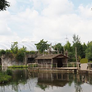 'House boat' - Sumatran orangutan and Hanuman langur viewing area, 2024-08-05