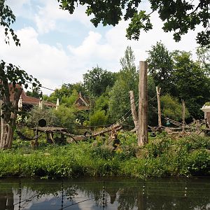 Sunda pig-tailed macaque island, 2024-08-05