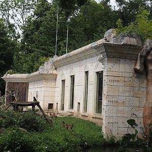 Sunda pig-tailed macaque temple, 2024-08-05