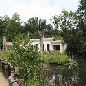 Sunda pig-tailed macaque and temple island, 2024-08-05