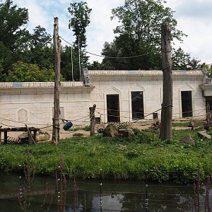 Sunda pig-tailed macaque island and temple, 2024-08-05