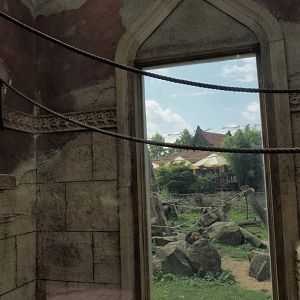 Window in Sunda pig-tailed macaque temple looking out from indoor exhibit to outdoor island, 2024-08-05