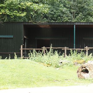 Bactrian camel barn, 2024-08-05