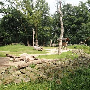 Bactrian camel paddock, 2024-08-05