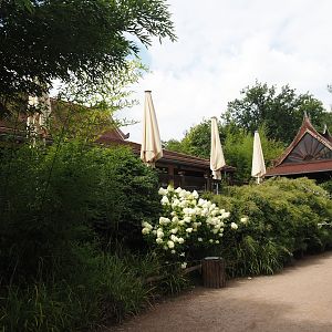 Asian restaurant and terrace, 2024-08-05