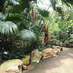 View in Tropenparadies/Asian greenhouse, 2024-08-05