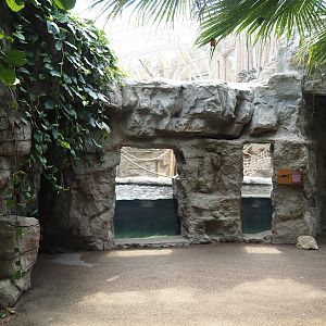 Tropenparadies/Asian greenhouse - Asian small-clawed otter pool and primate indoor exhibit, 2024-08-05