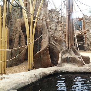 Tropenparadies/Asian greenhouse - Asian small-clawed otter pool and primate indoor exhibit, 2024-08-05