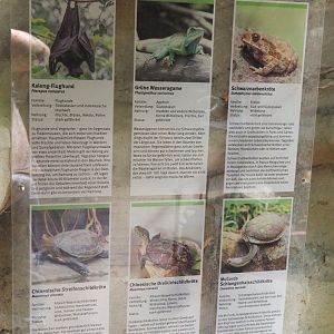 Tropenparadies/Asian greenhouse - Signage for free-ranging mammals and herps, 2024-08-05