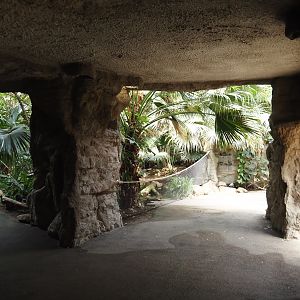 Tropenparadies/Asian greenhouse - Covered area near slow loris exhibit, 2024-08-05