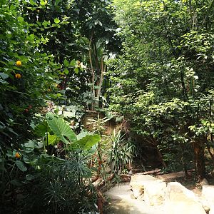 View in Tropenparadies/Asian greenhouse, 2024-08-05