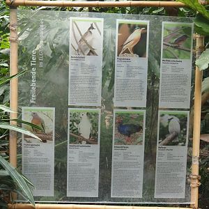 Tropenparadies/Asian greenhouse - Signage for free-ranging birds, 2024-08-05