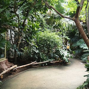 View in Tropenparadies/Asian greenhouse, 2024-08-05