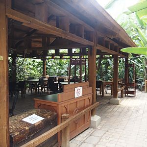Tropenparadies/Asian greenhouse - Indoor eating area, 2024-08-05