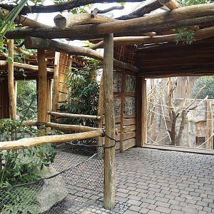Tropenparadies/Asian greenhouse - Sumatran orangutan and Hanuman langur indoor exhibit viewing area, 2024-08-05