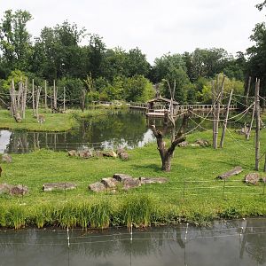 Sumatran orangutan and Hanuman langur islands, 2024-08-05