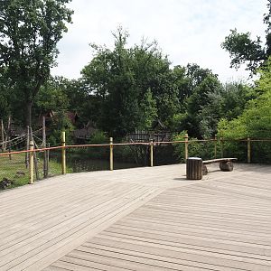 Sumatran orangutan and Hanuman langur island viewing area, 2024-08-05