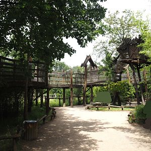 Sumatran orangutan and Hanuman langur canopy trail viewing area, 2024-08-05